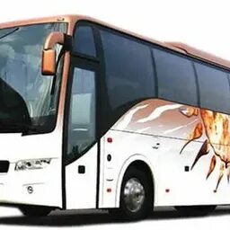 zoomcoachhire